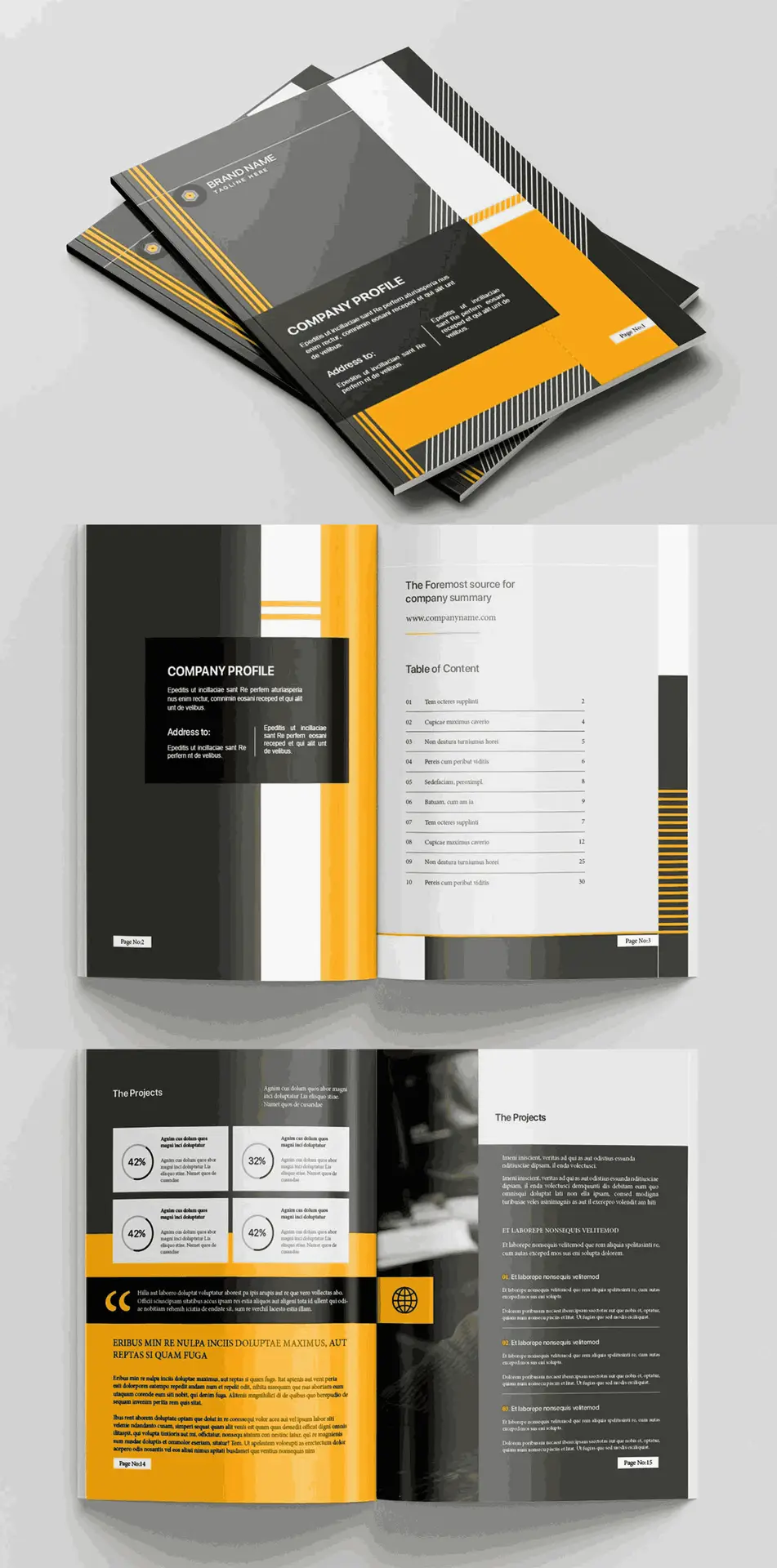 Modern company profile and annual report design with clean layout, professional branding, and corporate visual elements.